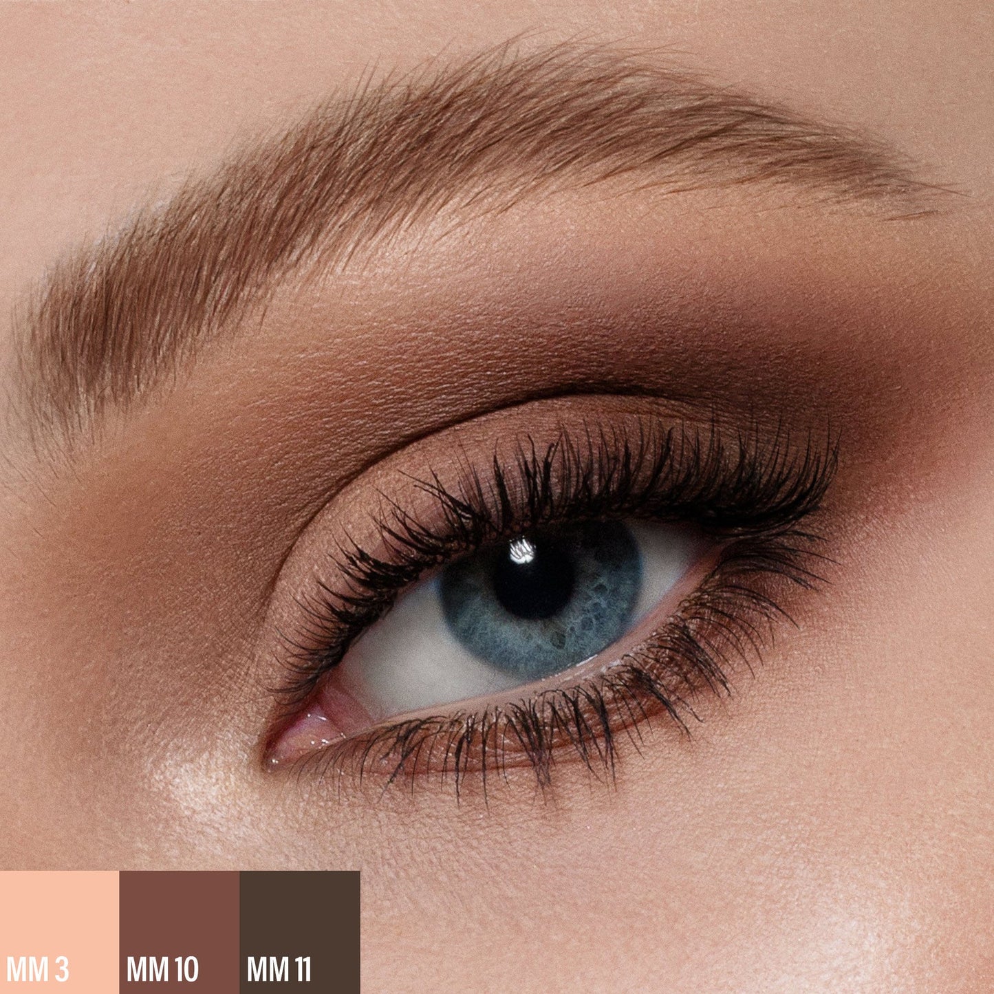 Paleta de ojo MAKEUP MARIO