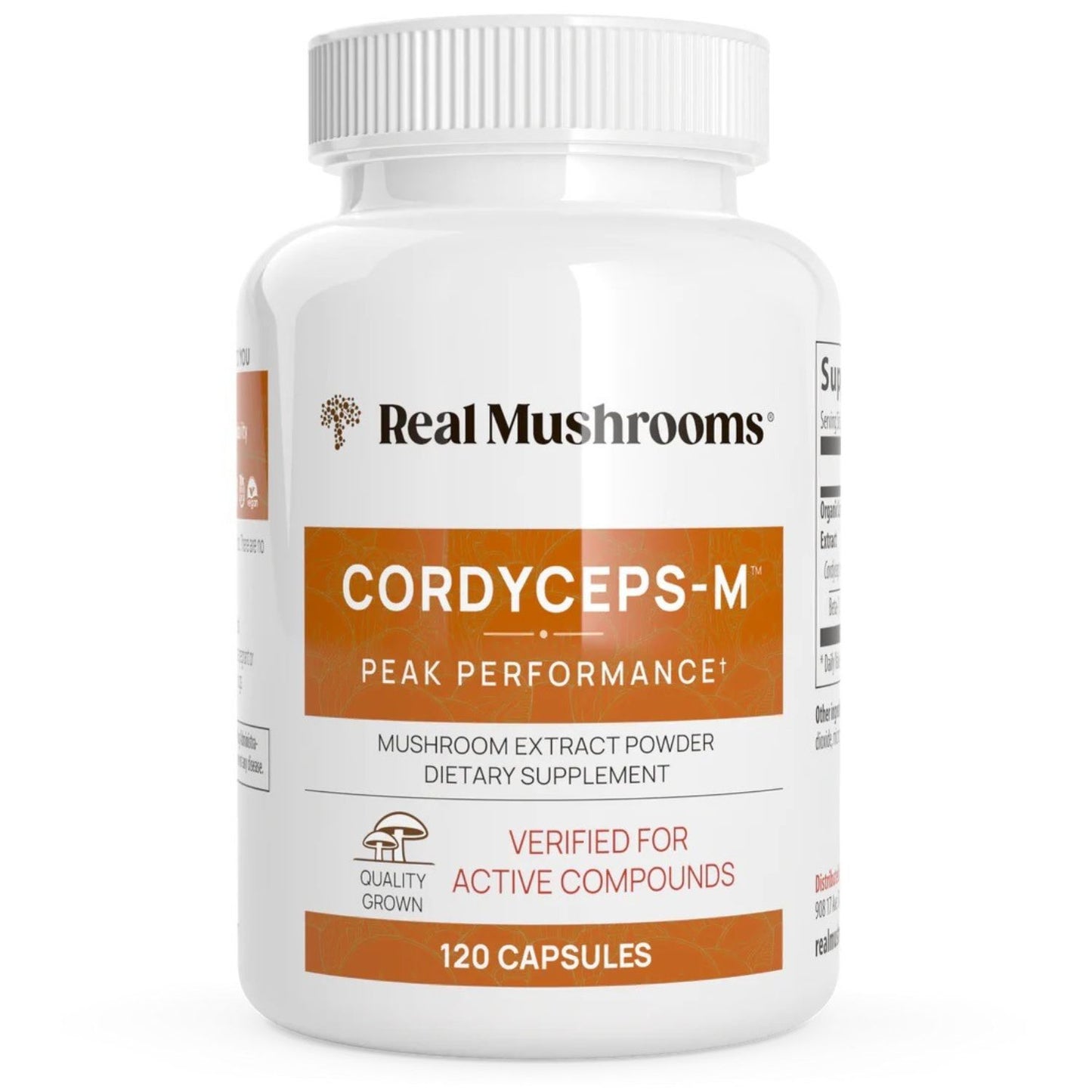 Cordyceps -M