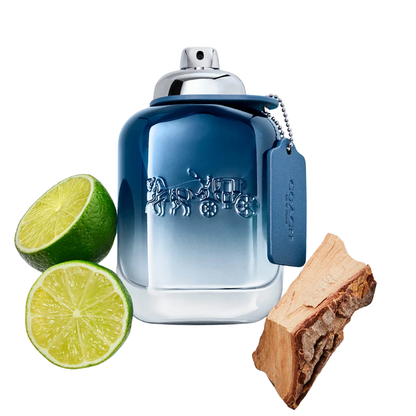 Mini Coach perfume