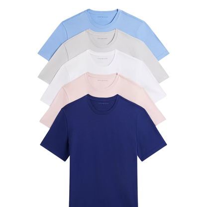 Set de 5 Camisas Básicas Tommy