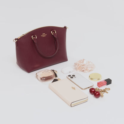 Cartera Coach - Sadie Satchel Bag